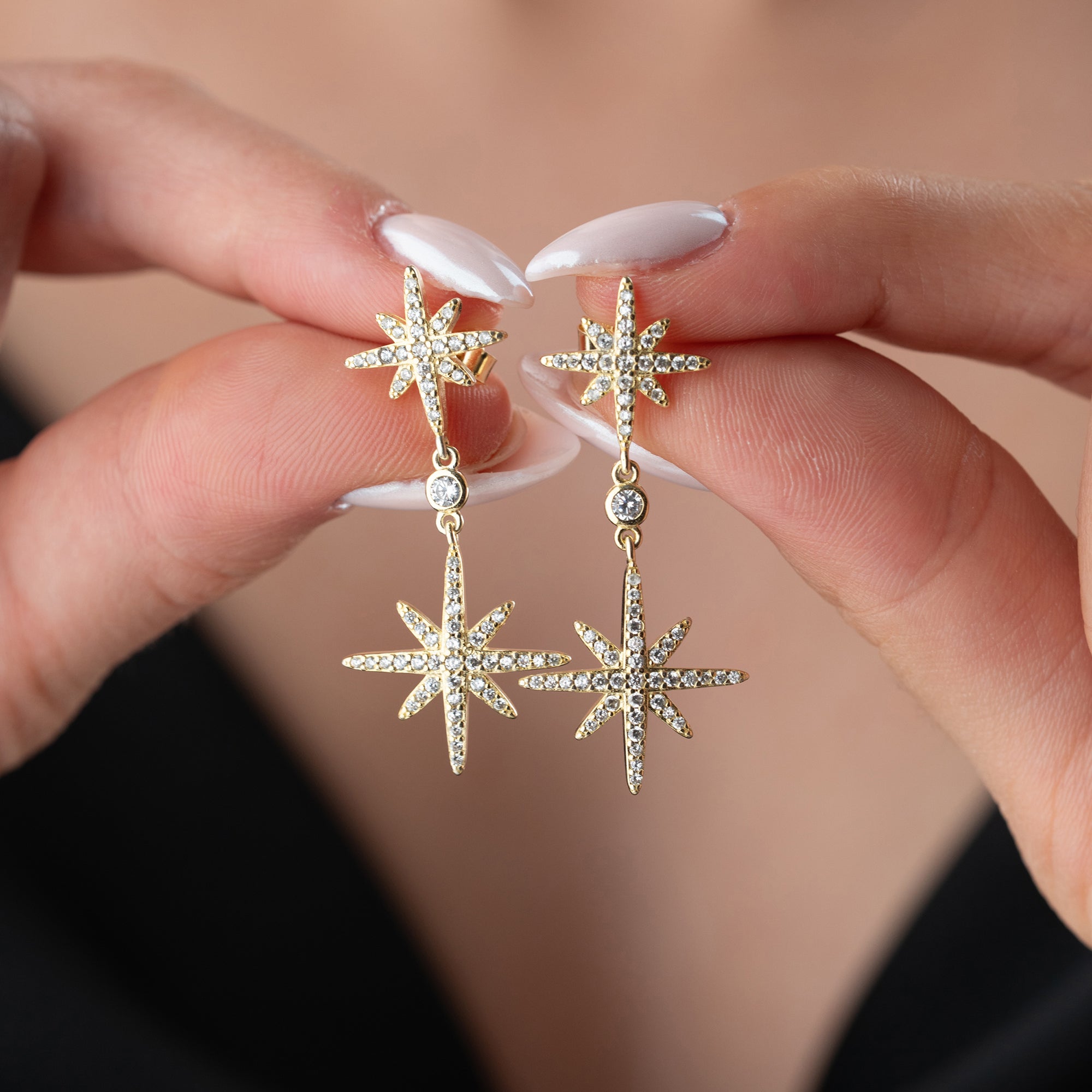 DUO POLARSTERN OHRRINGE | 925 SILBER